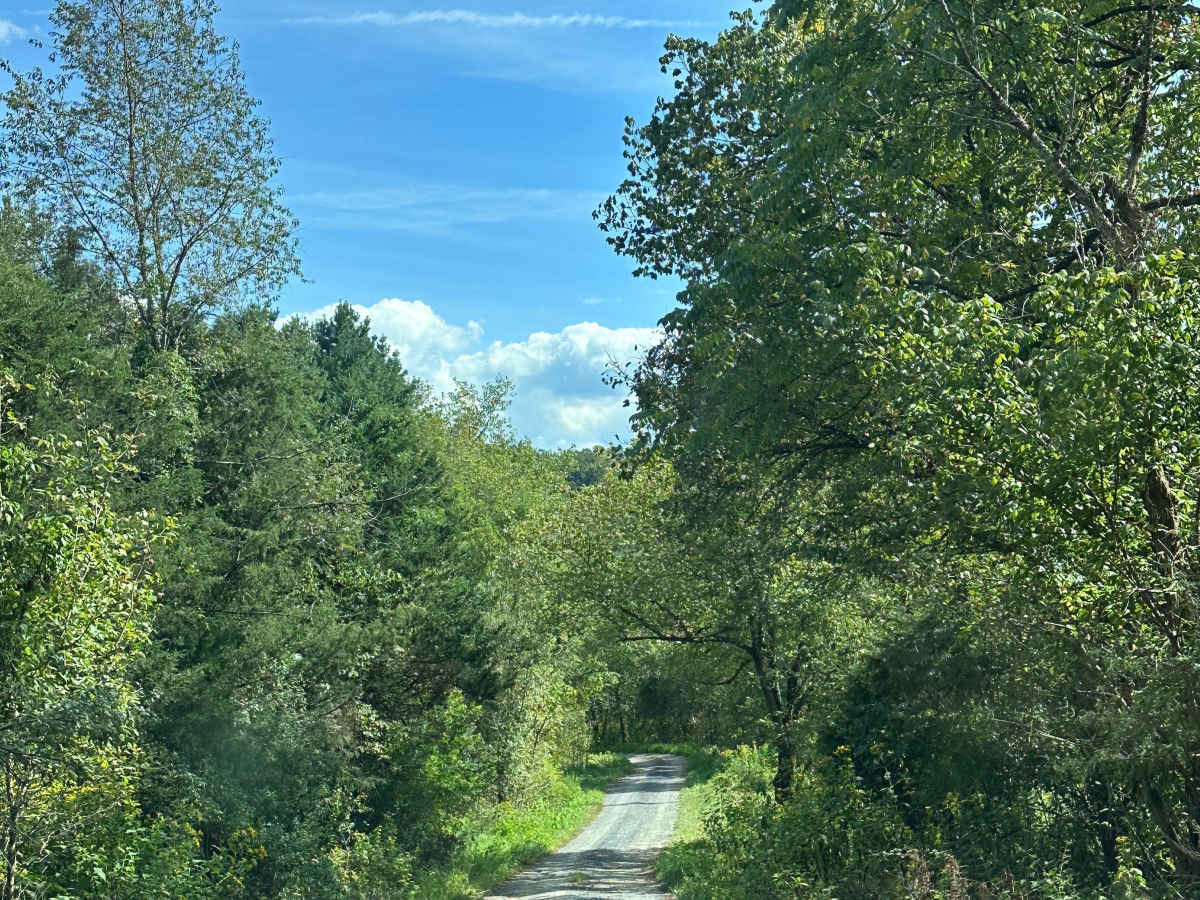 Bealers Pond trail photo