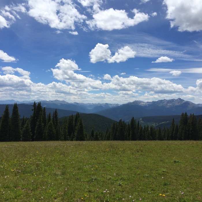 Near Bowmans Shortcut