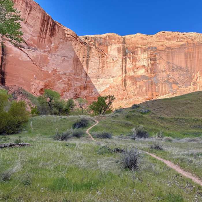 Near Coyote Gulch via Hurricane Wash