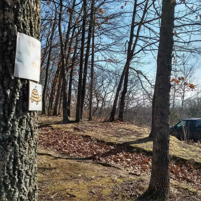 Midway thru the hike where the trail comes out to Lone Elk Park Rd Near White Bison Trail