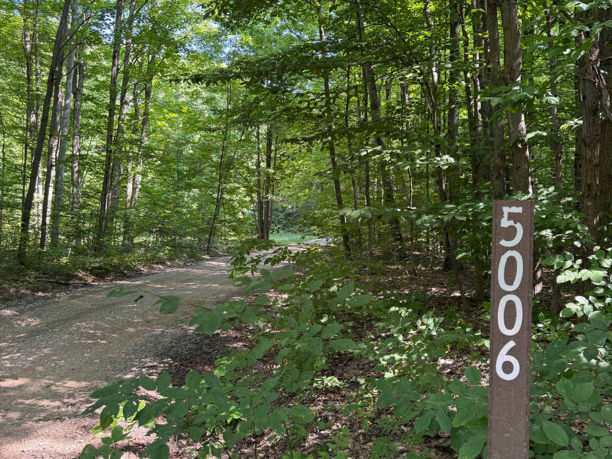 FS 5006 trail photo