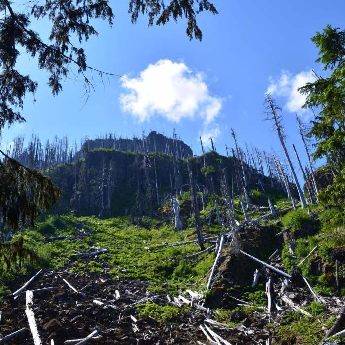 Northern Loop | Hiking Trail Maps, Difficulty, Trail Status | onX