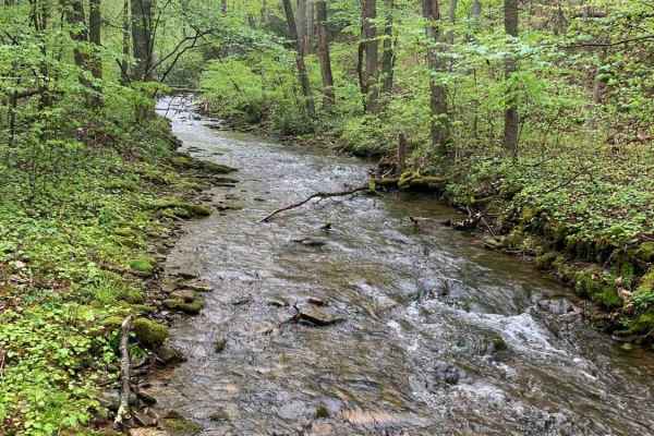 Dark Hollow Trail