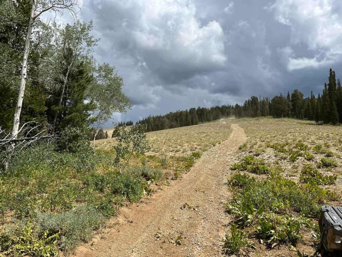 Cheek Clapper trail photo