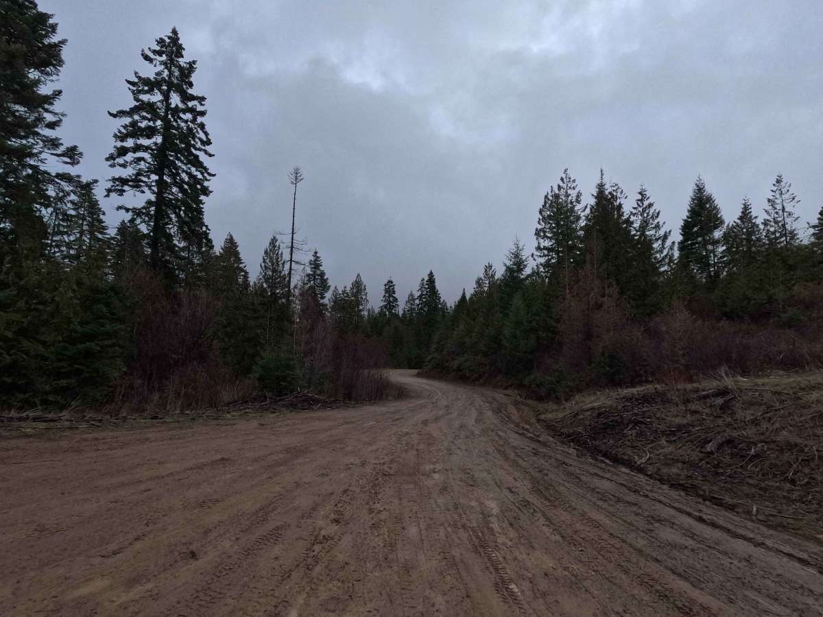 Brush Creek - Trail 289 photo 5