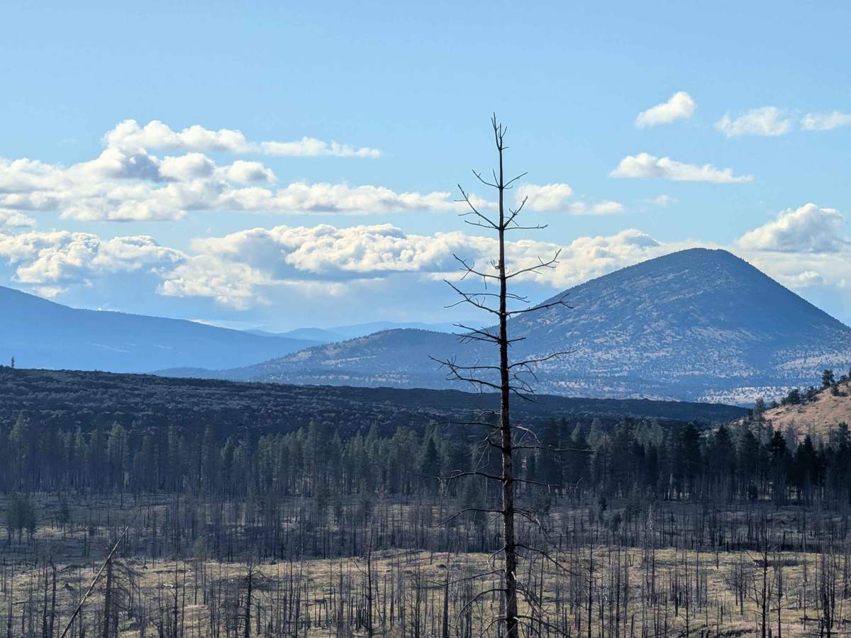 Medicine Lake Road - FS 44N75 photo 3