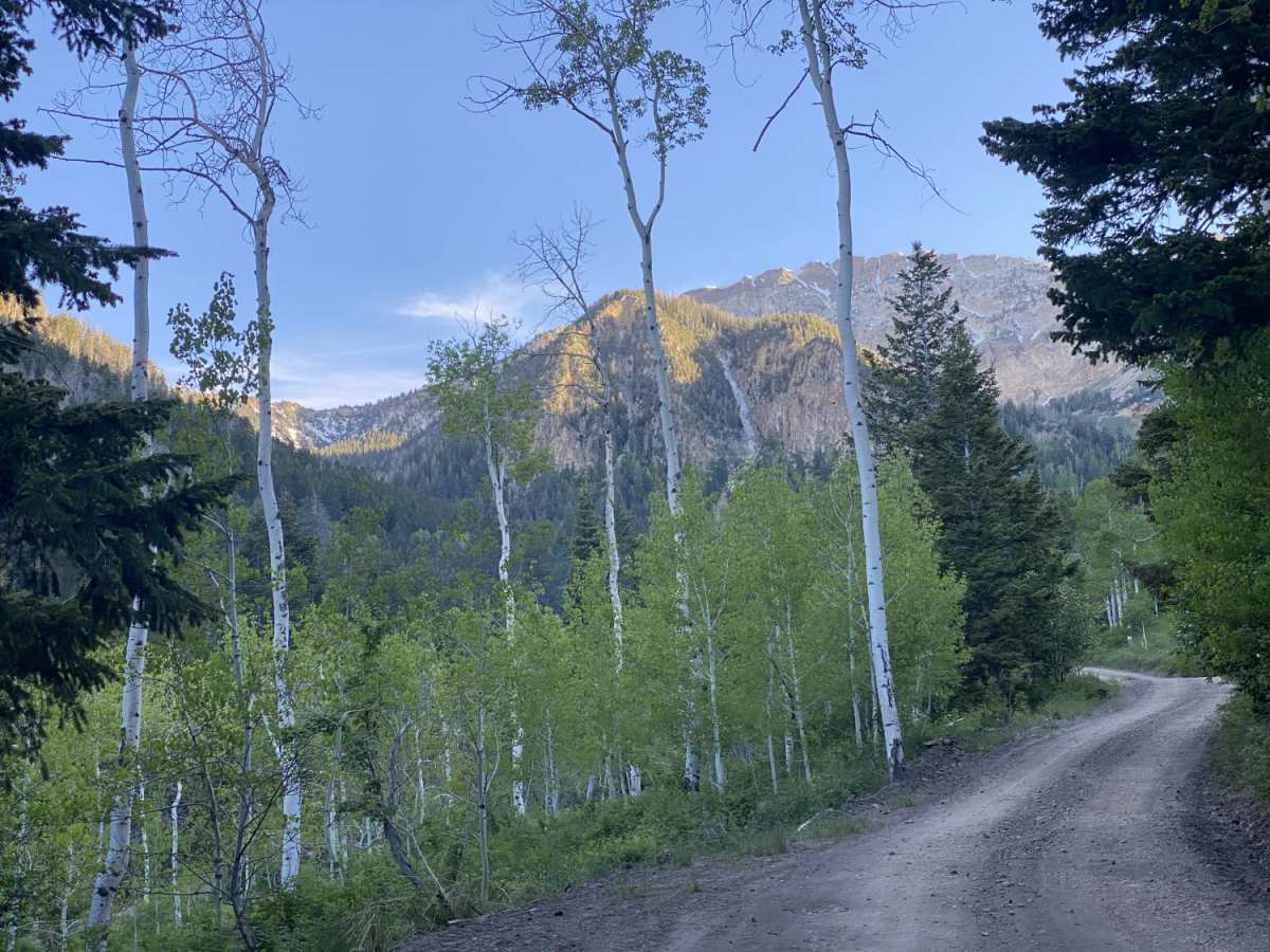 South Willow Canyon trail photo