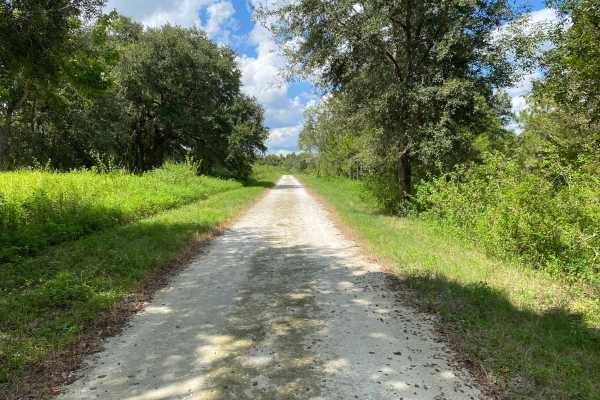 Dove Field Road