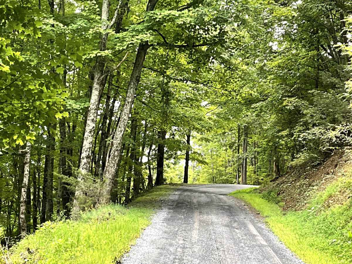 State Route 770  trail photo