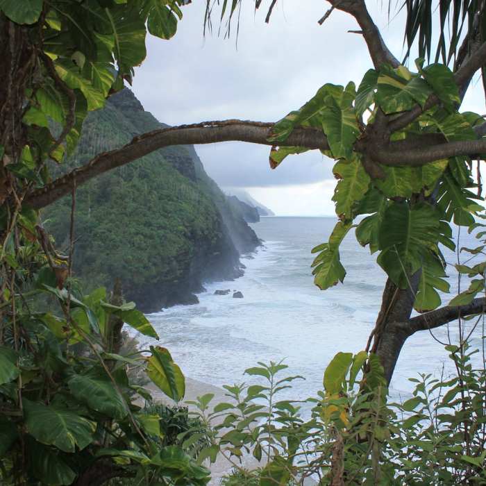Near Kalalau Trail Near Kalalau Trail