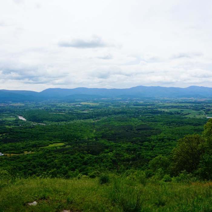 Near Kennedy Peak Out-and-Back