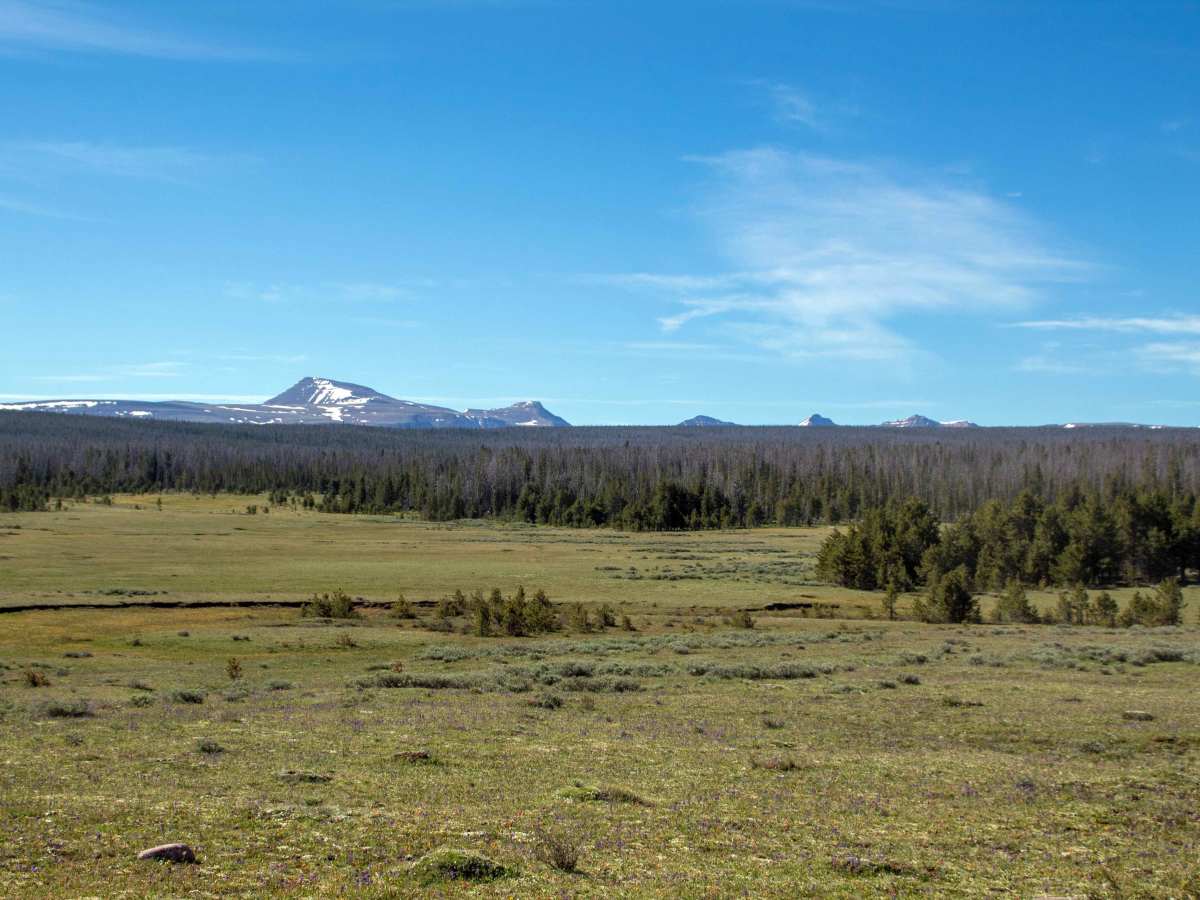 Gilbert Creek - FS 80075 photo 5