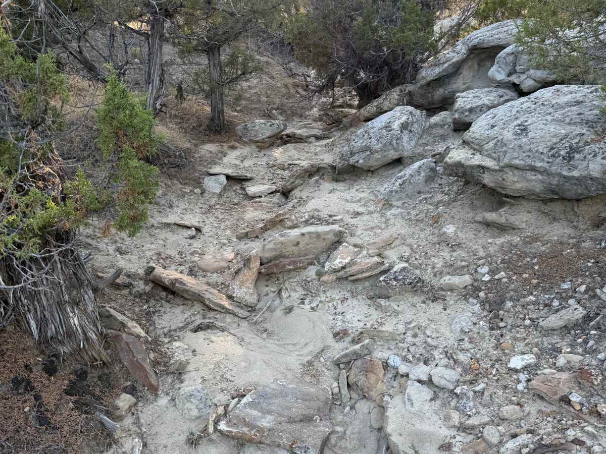 One Mile Trail trail photo