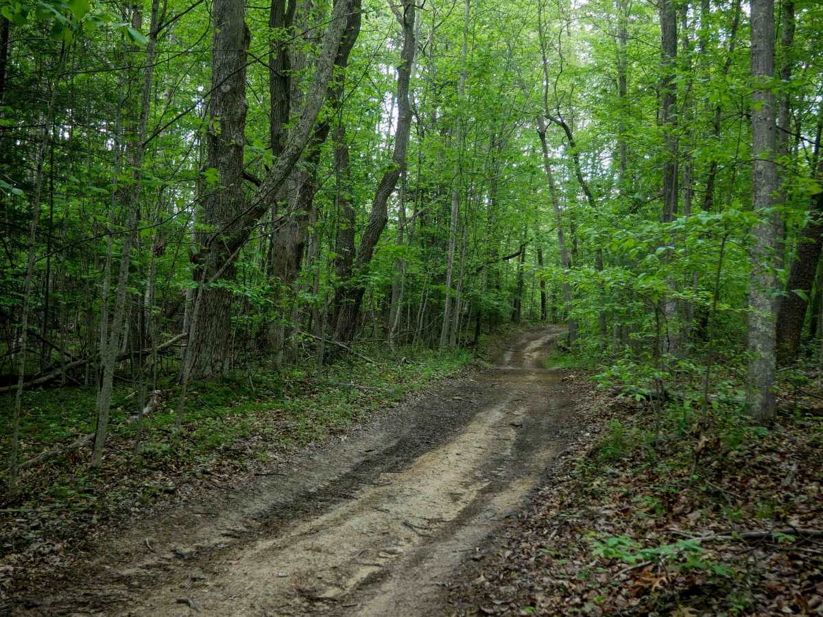 Trail 9 photo 2