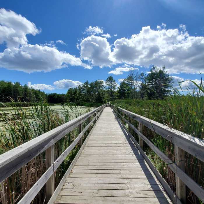 Near Little Cataraqui Creek Loop