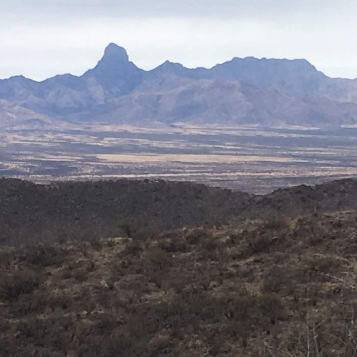 Near Arivaca Creek Loop and Mustang Trail
