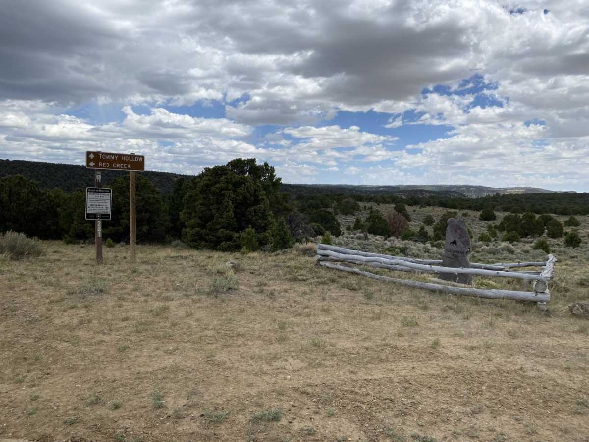 Sheep Valley-Tommy Hollow Trail photo 5