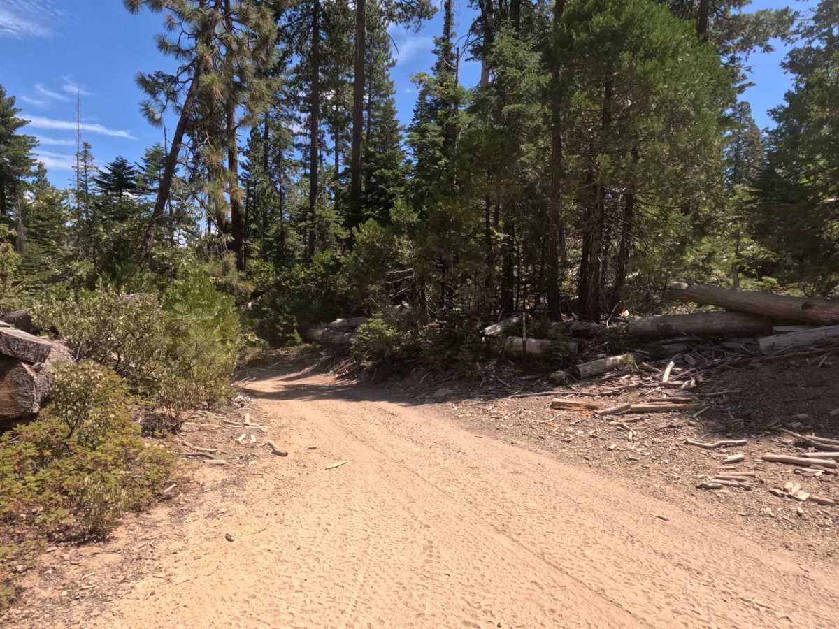 Ten Mile Spur - FS 5S062 photo 4