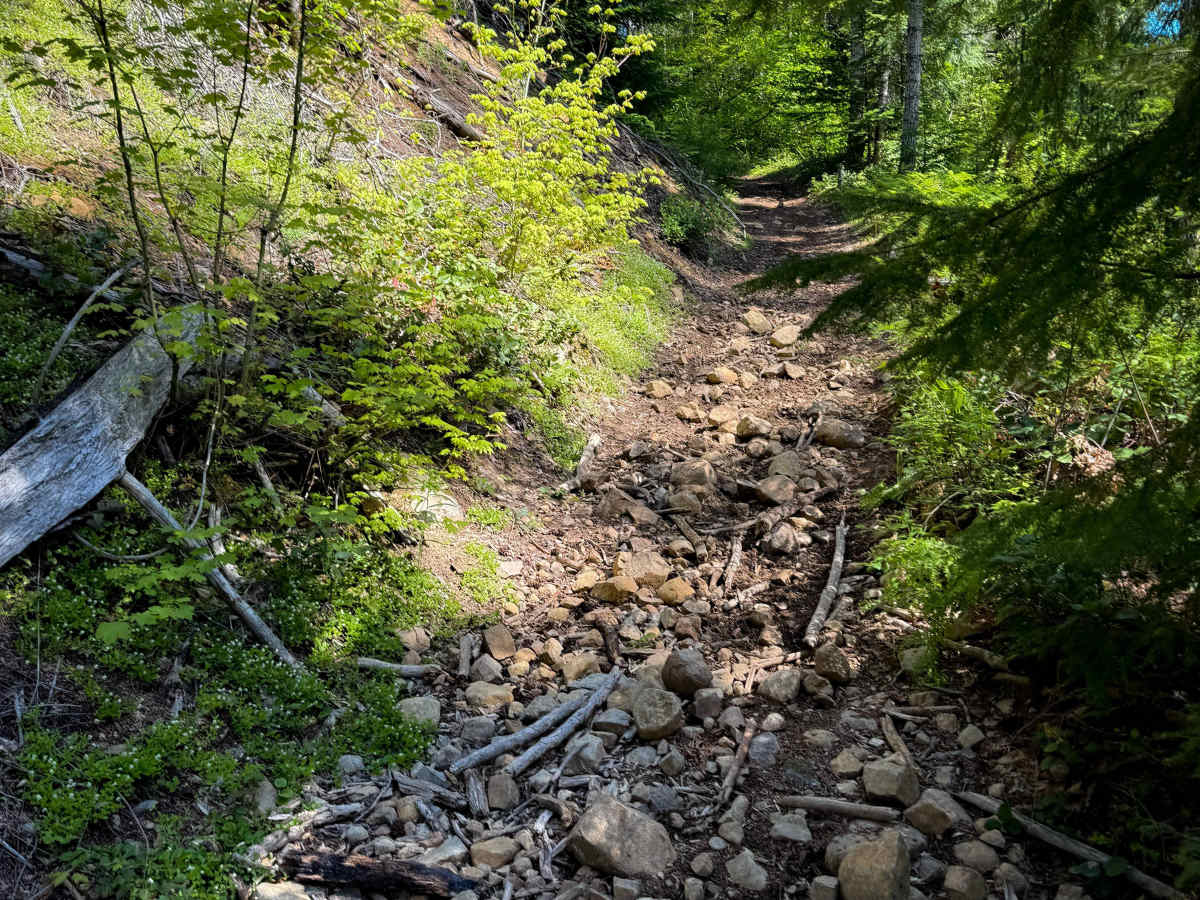 108C trail photo