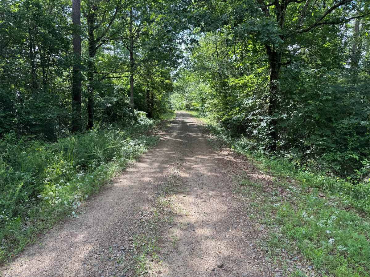 Whipperwill trail photo