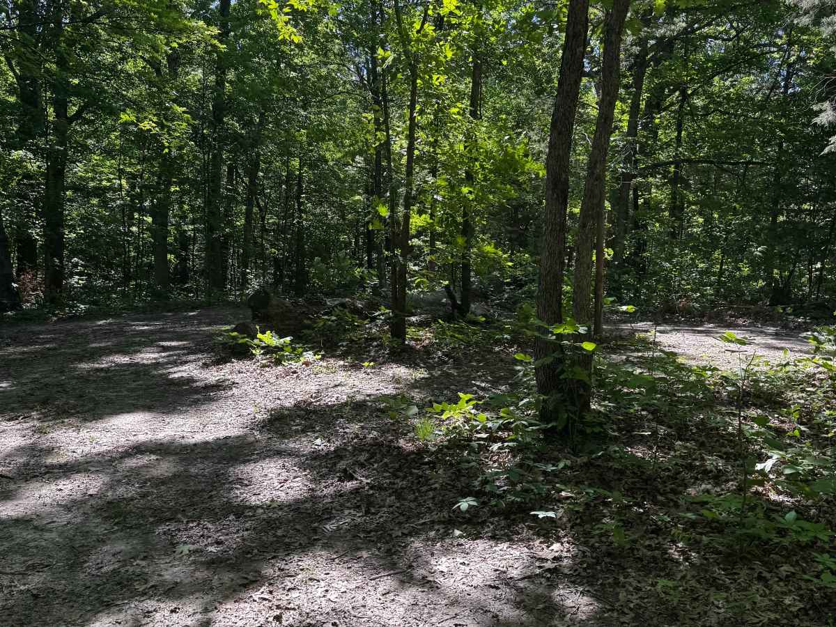 Inner Track 27.2 photo 2