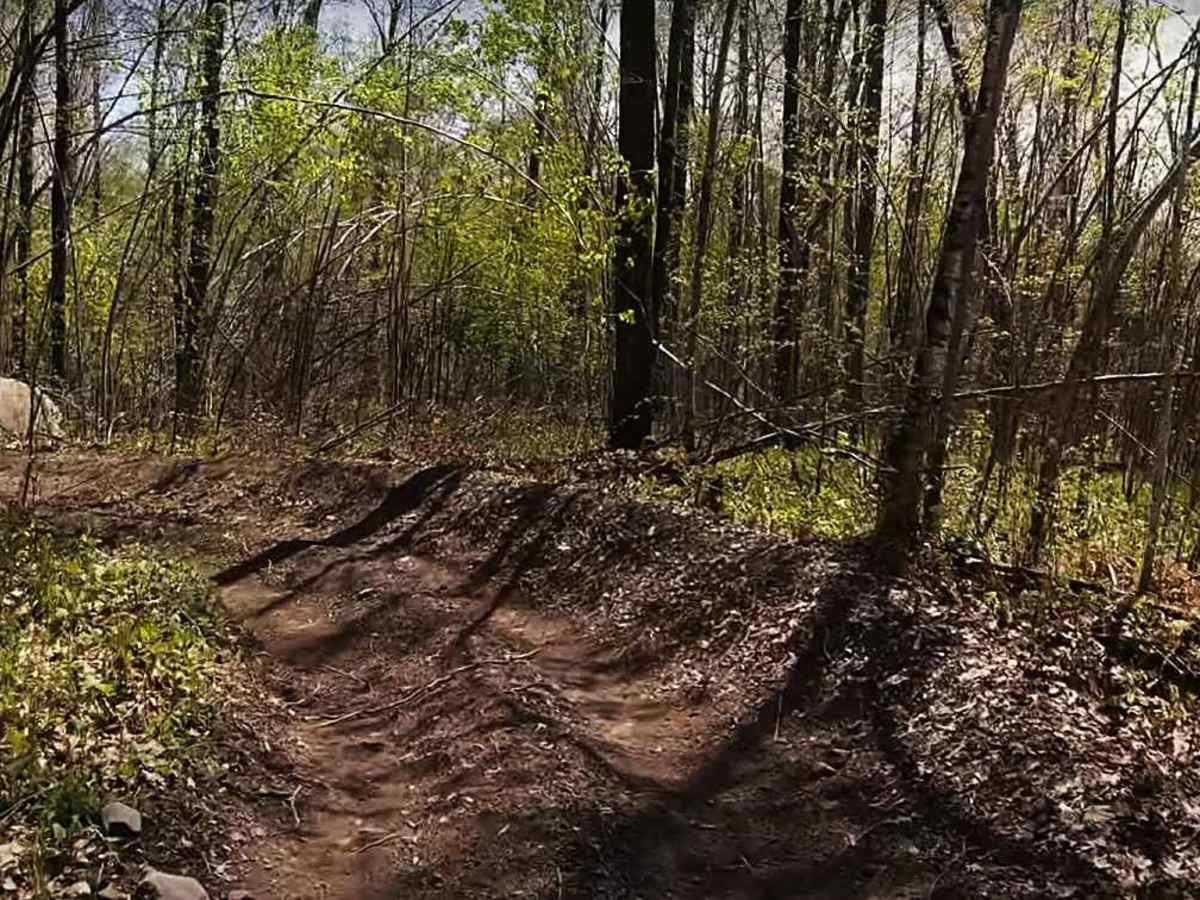 Foxy Loop Main trail photo