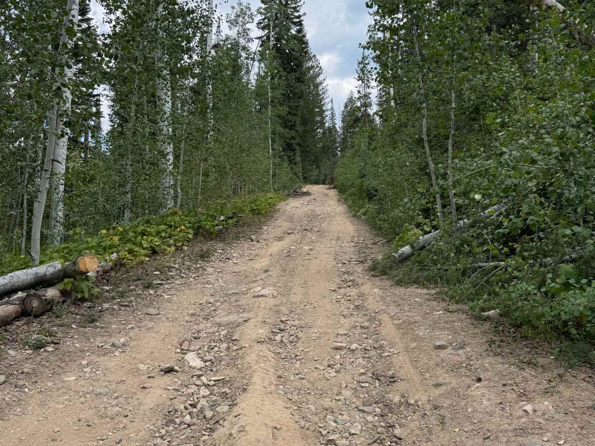 Bowes Mining Road - FS 471 photo 4