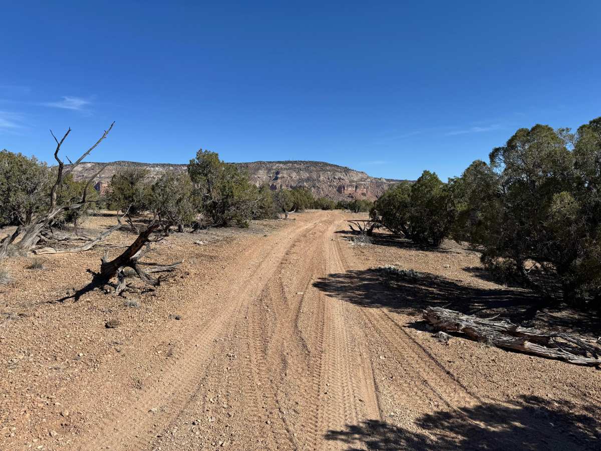 Cow Canyon photo 2