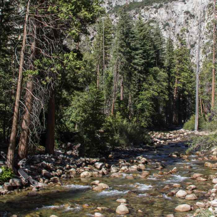 Near River Trail Hike, South Fork of the Kings River