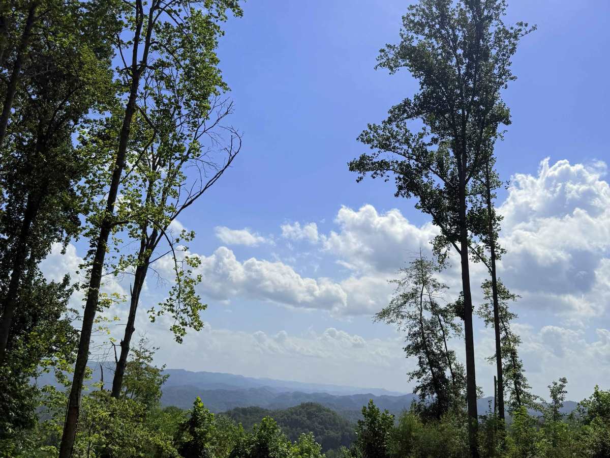 Osborne Ridge  photo 5