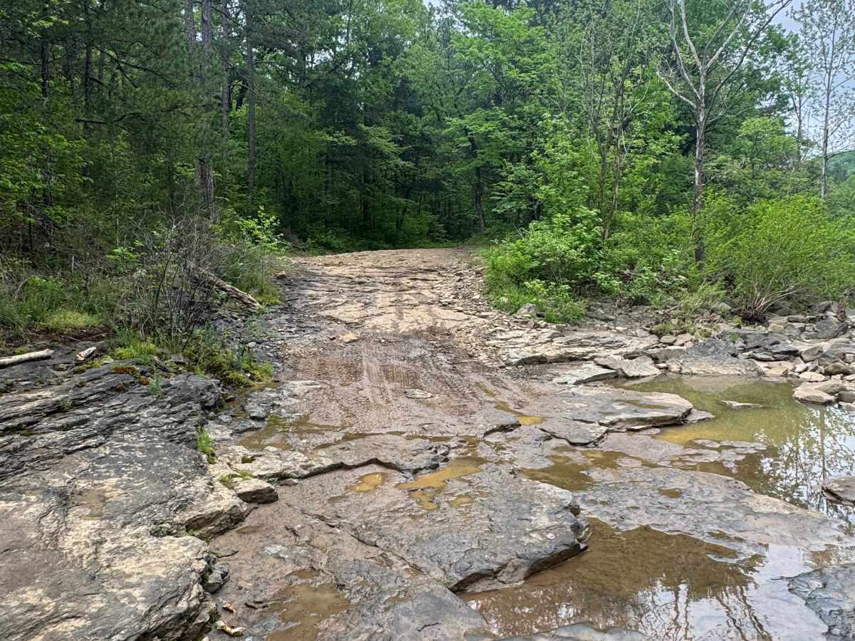 Sulphur Road trail photo