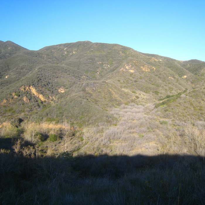 Near Zuma Canyon Loop
