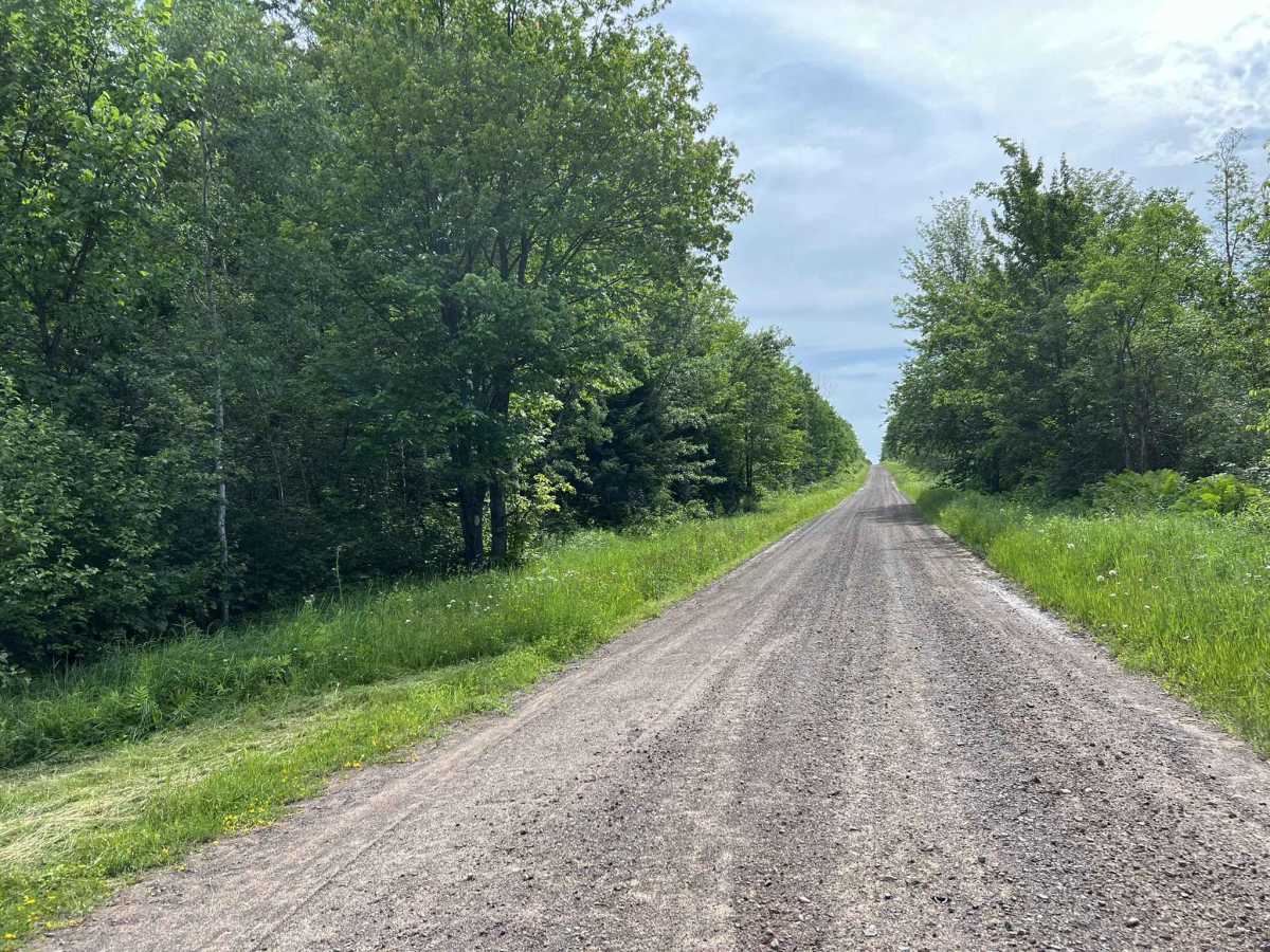 Swanson Road trail photo