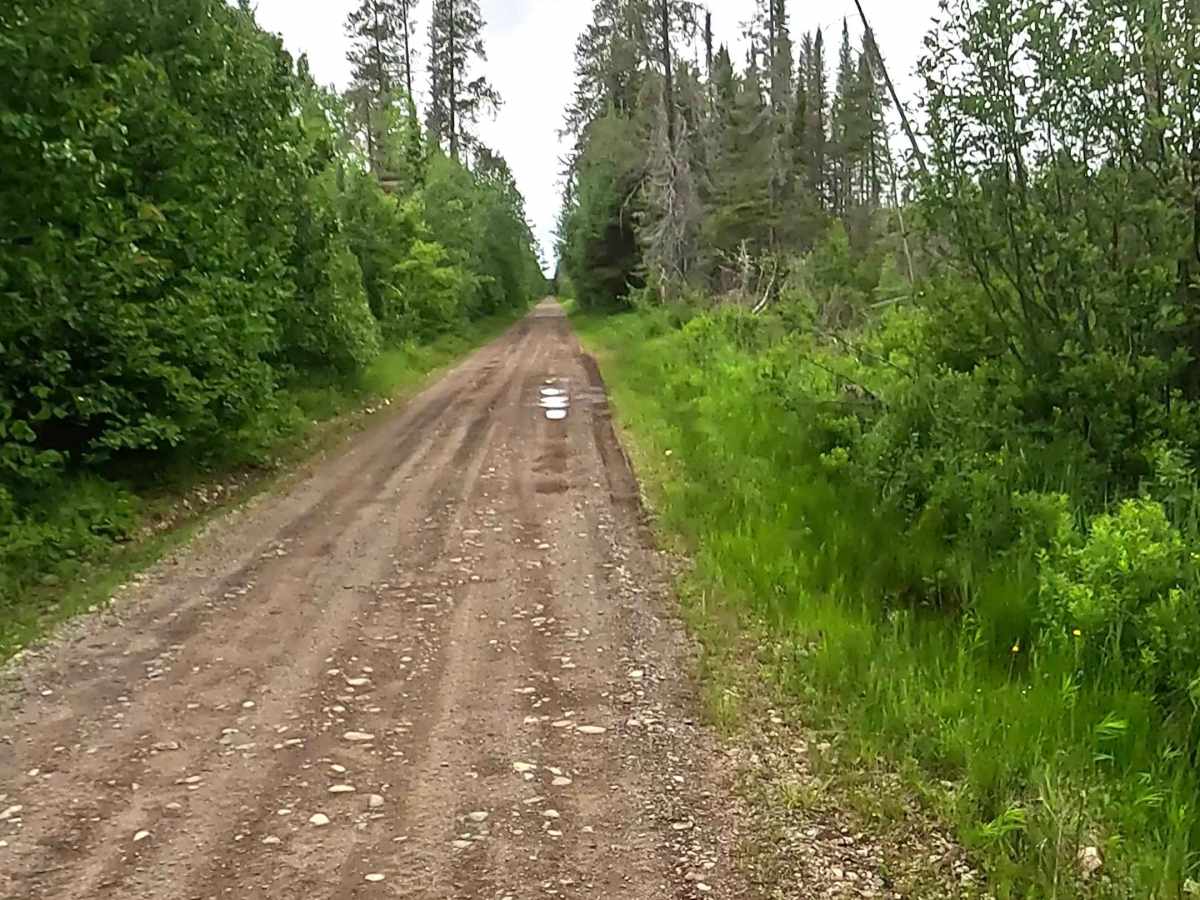 Off-Road Vehicle Route CL - Clowry Grade photo 4