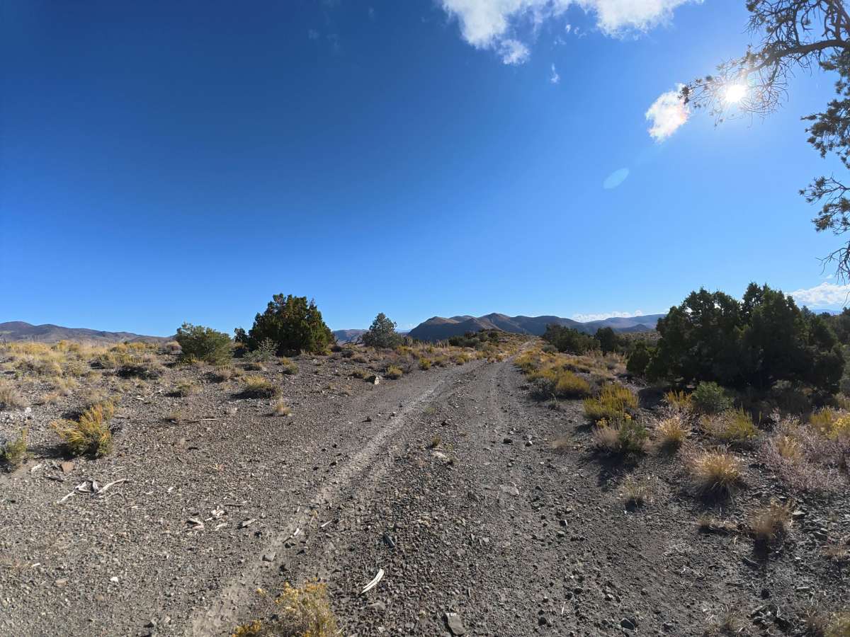 Waucoba Road photo 4