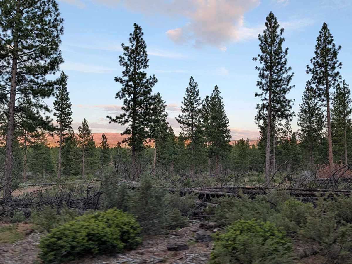 Three Sisters - FS 45N03 photo 3