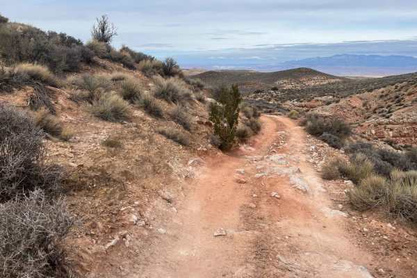 Segmiller Mountain - Sunshine Trail Interconnect