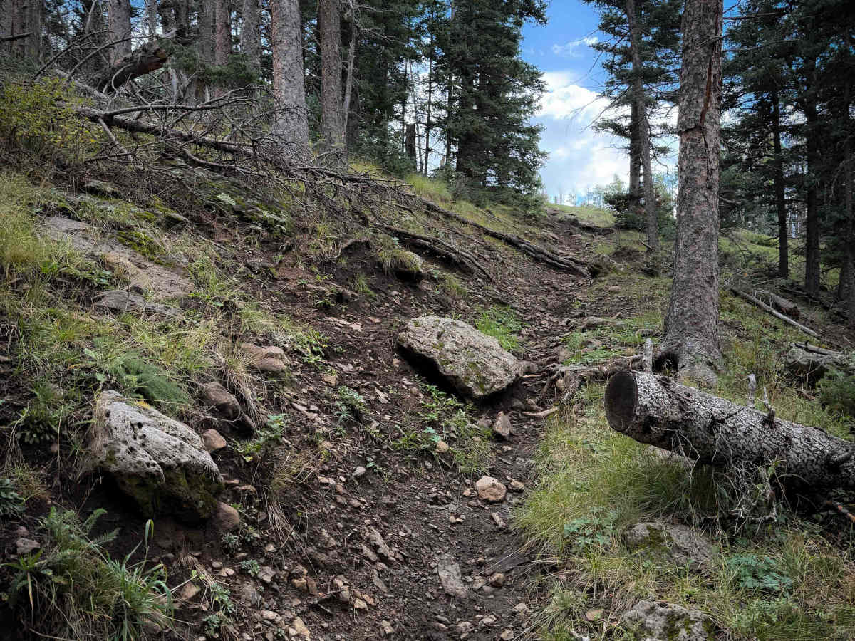 Policarpio Trail - FS 13 photo 4
