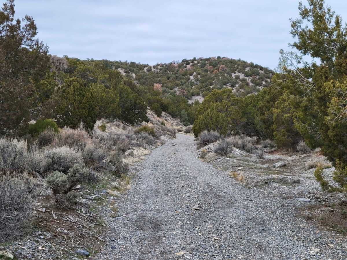 Dip Gulch Road trail photo