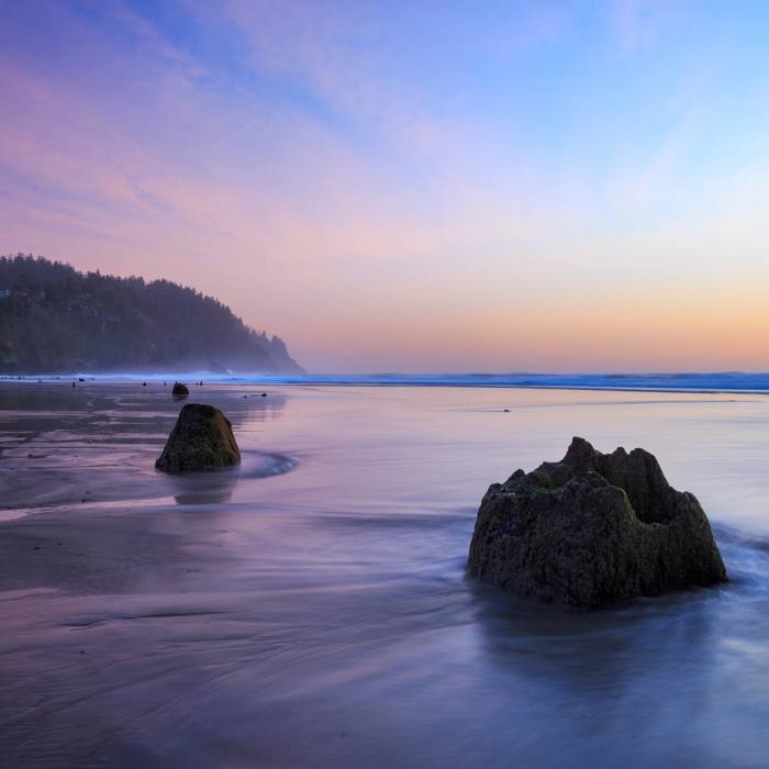 Near Oregon Coast Trail Section 4