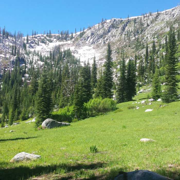 Near Crestline Trail (#109)