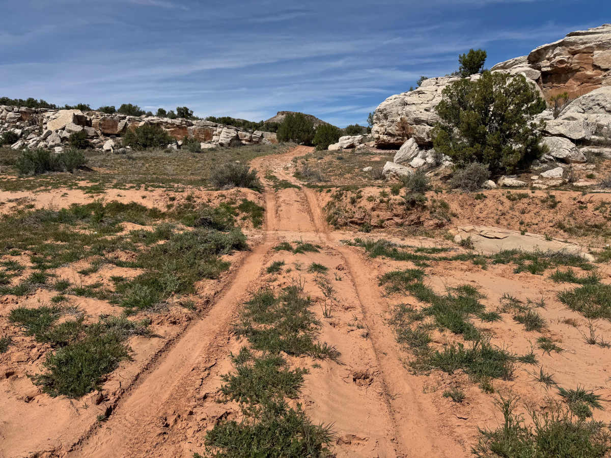 Salt Valley Gorge Connector West photo 3