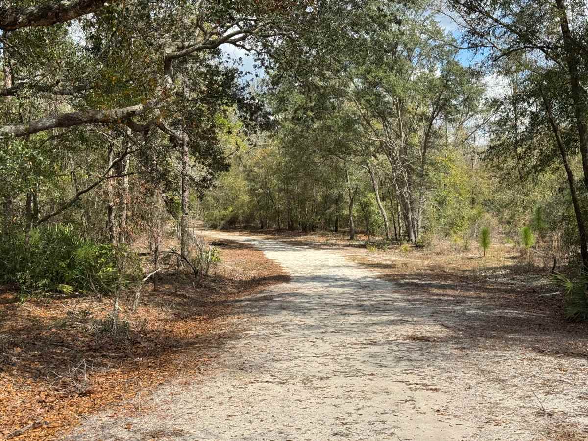 Ole Hell Road photo 2