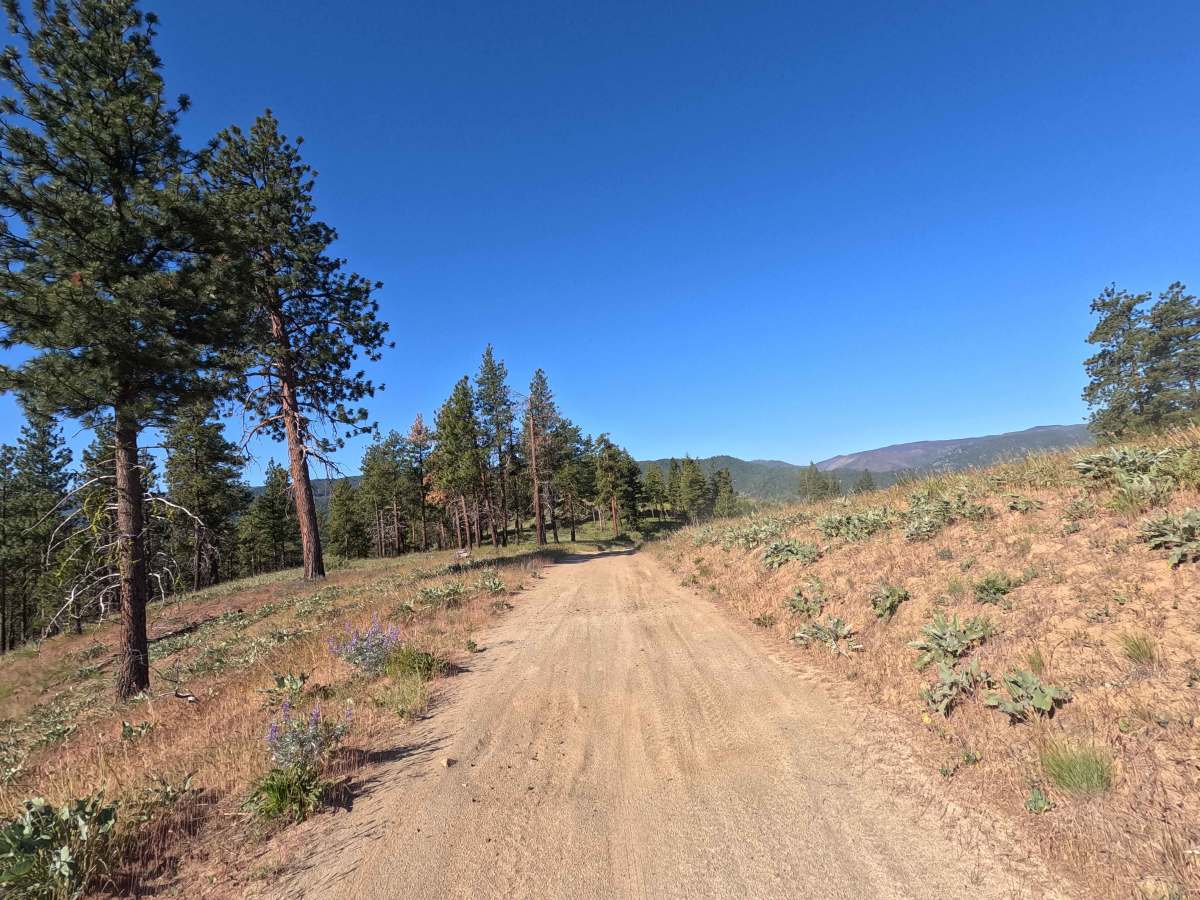 Steliko Ridge Road - FS 5310 photo 4