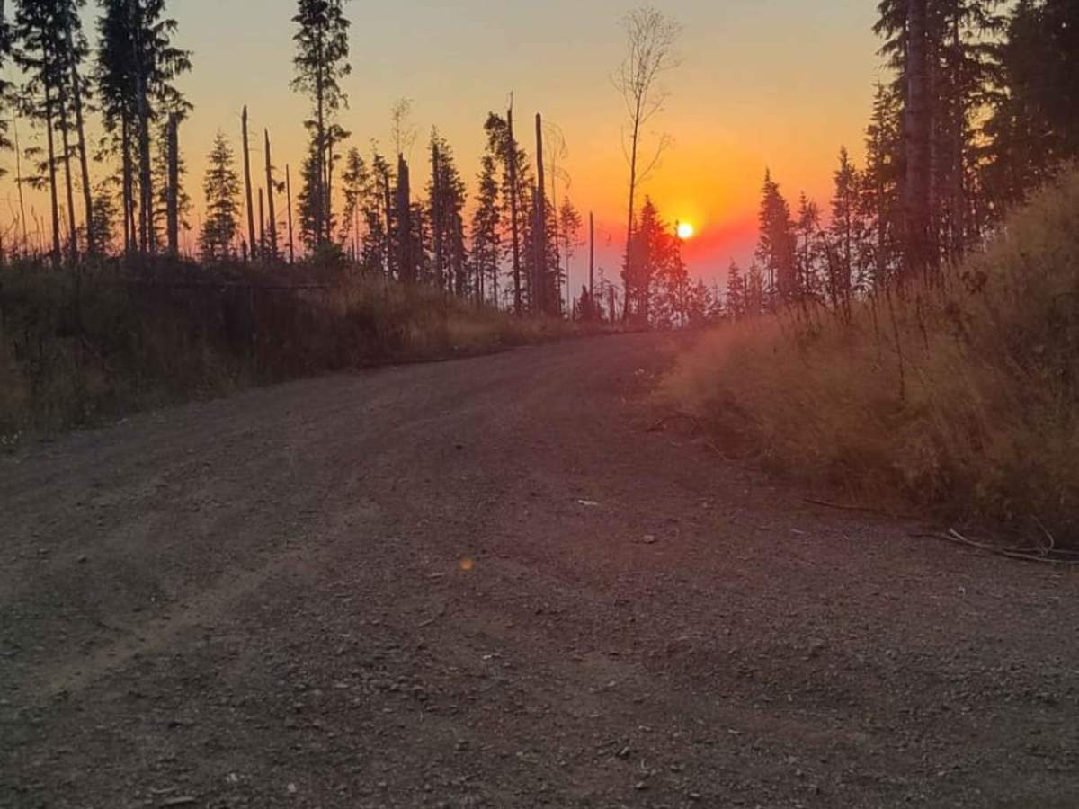 Osterman Cabin Trail trail photo