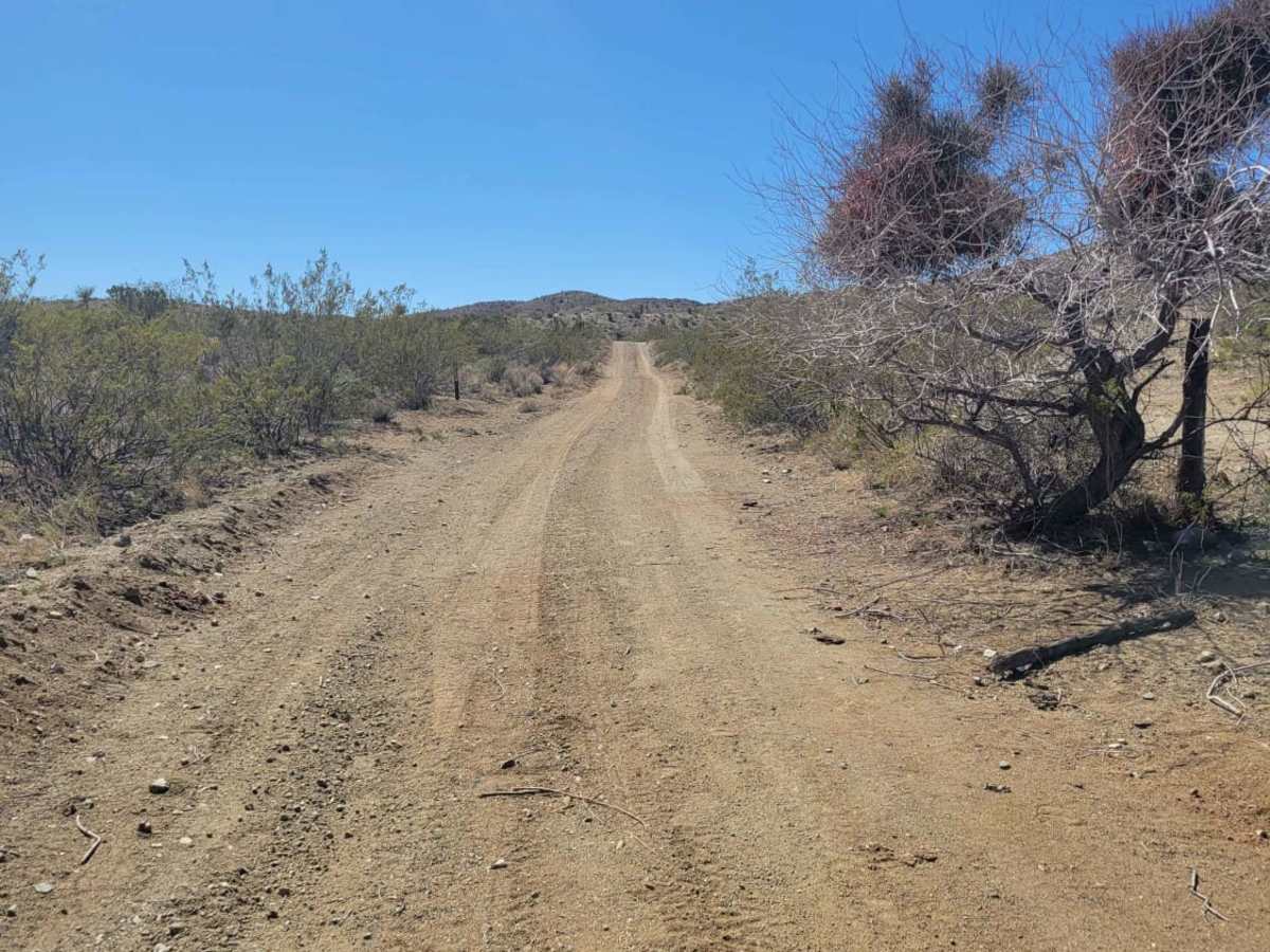 Lake Mohave View Trail photo 5