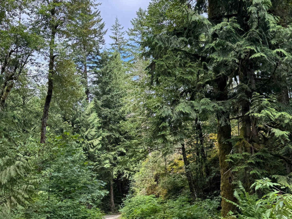 Francis Lake photo 3