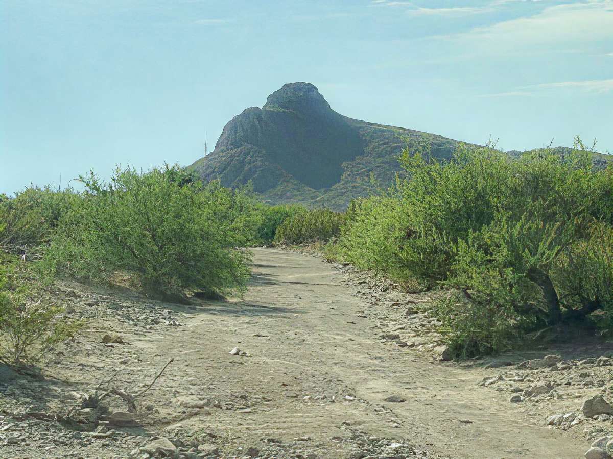 SS1156 photo 6