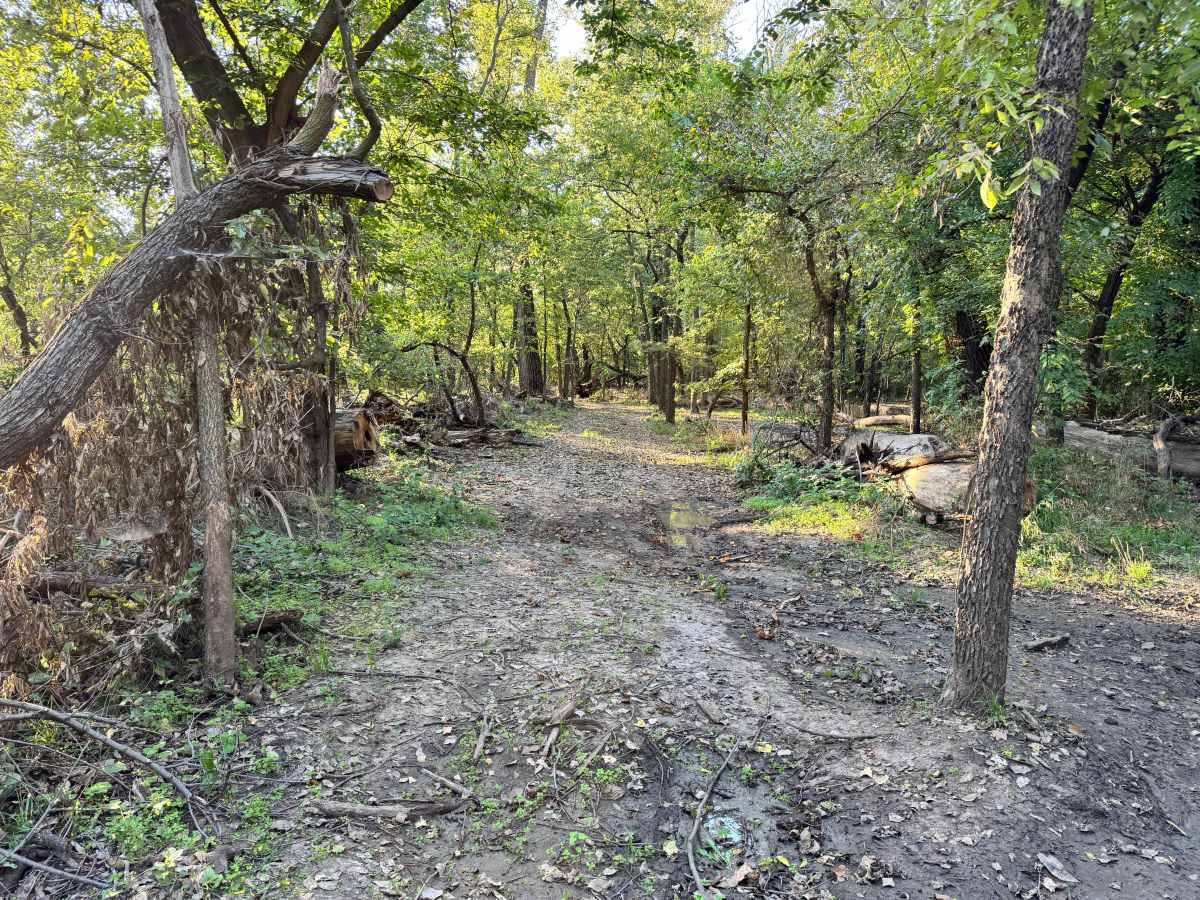Brake Cleaner Bend trail photo