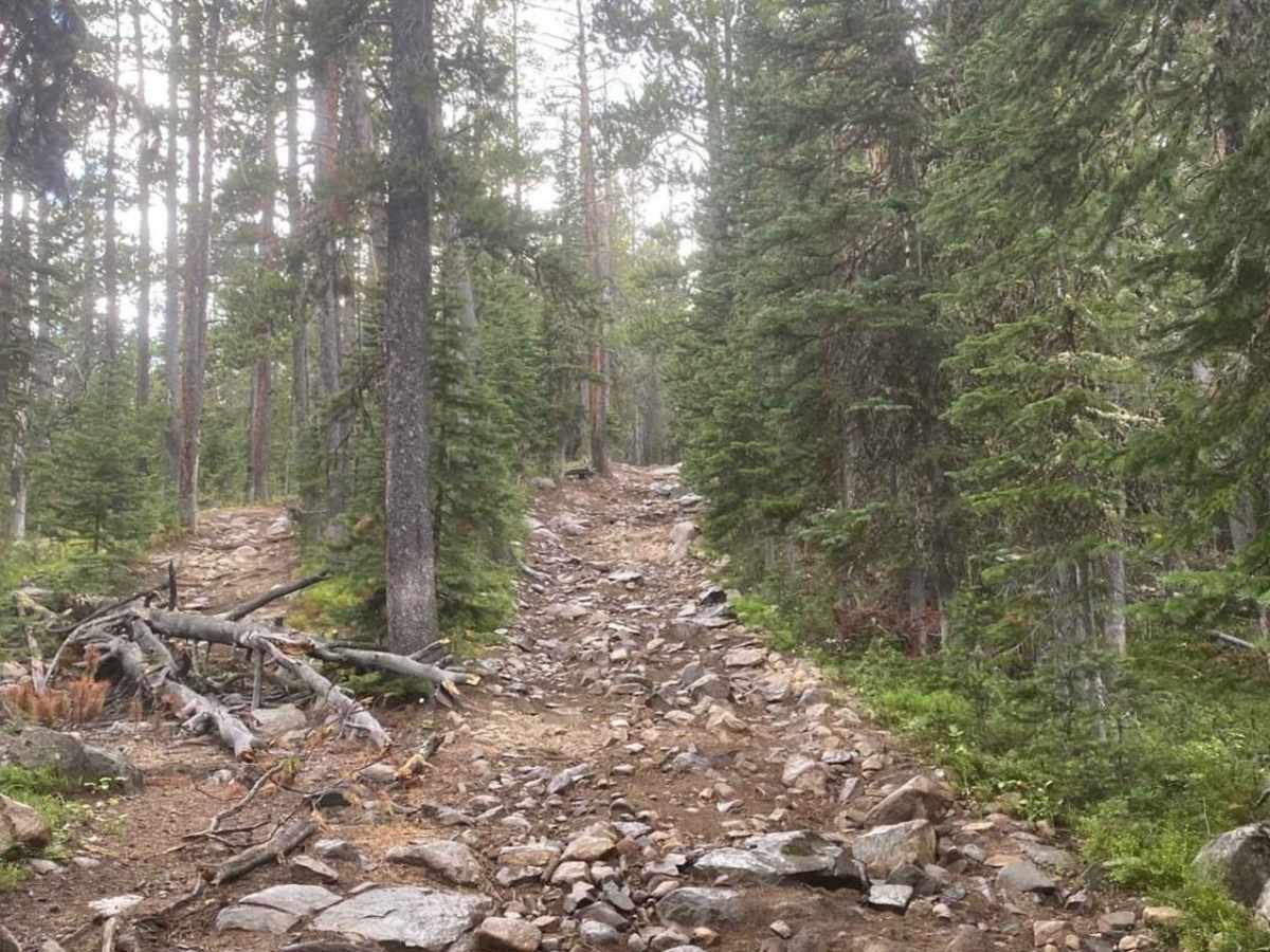 Cliff Lake Trail photo 6